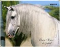 /album/fenykepgaleria/andaluz6-jpg/